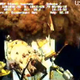 Image for article titled 18 Oil Disaster Solutions (And Why None Of Them Will Work)